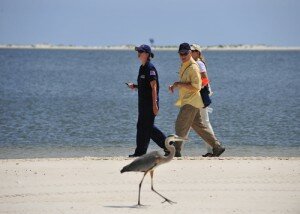 Wildlife like herons are dependent on the good graces of human volunteers in this situation. (Image courtesy US Coast Guard)