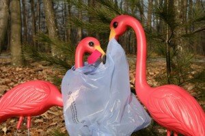 Pink plastic flamingoes with a plastic bag.
