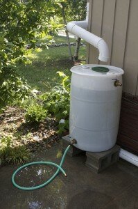 White rain barrel connected to downspout.
